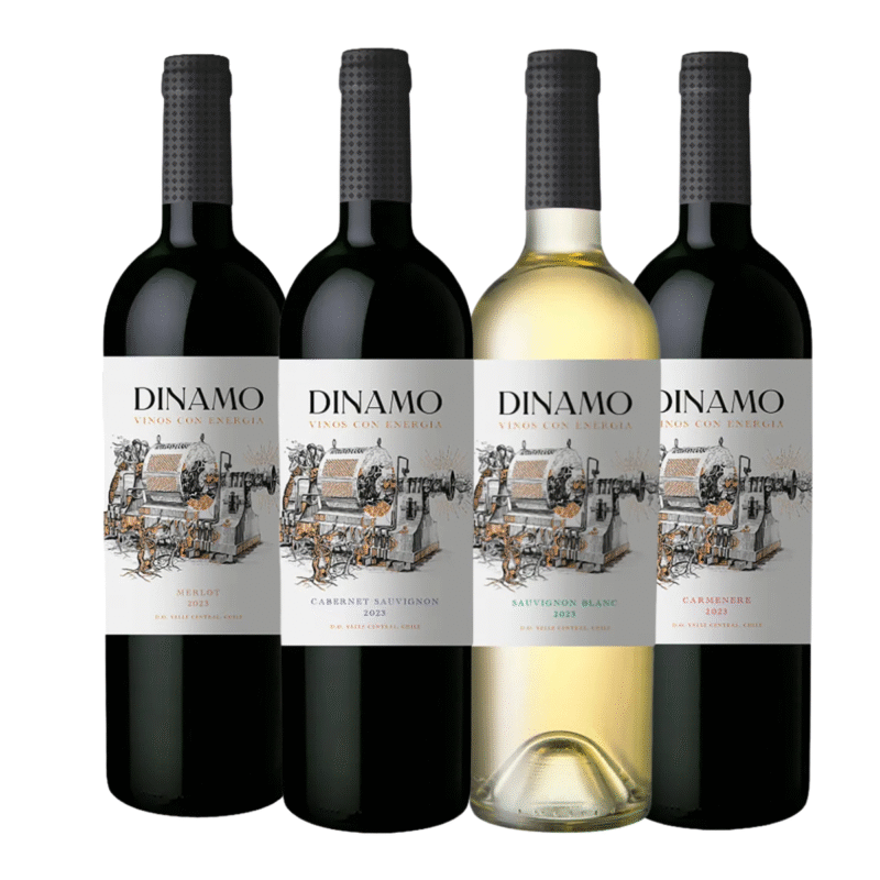 Kit Vinhos Chilenos Dinamico com 4 gfs  de 750 ml